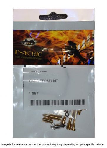 Spi xu-07344 psychic carb repair kits