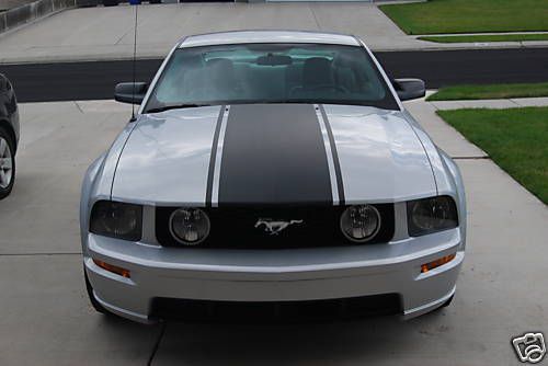 2005-2009 mustang center hood stripe with pin stripes 06 07 08 stripes graphics