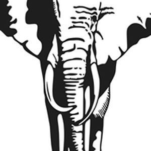 Elephant vinyl decal